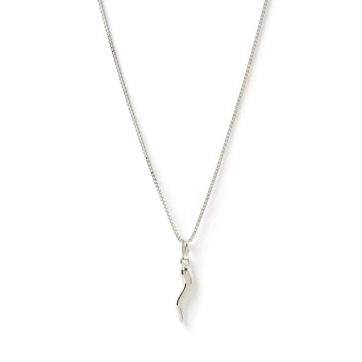 Cornicello Silver Charm Necklace - Sare StoreArms Of EveNecklace