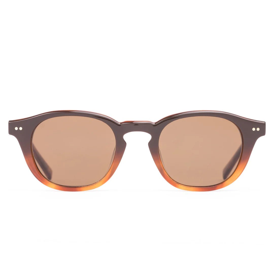 Elio: Tan Gradient Polarised - Sare StoreSito ShadesSunglasses