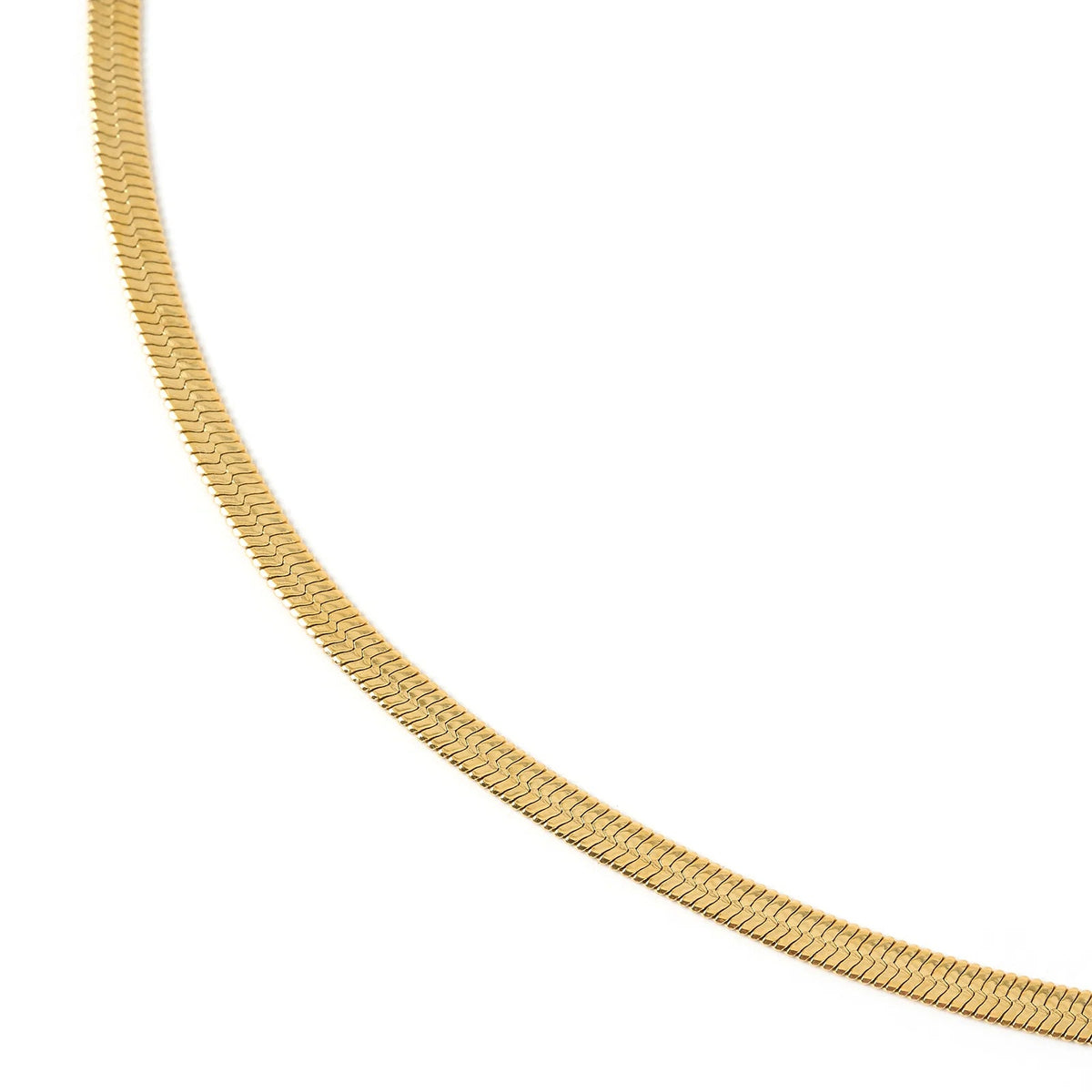 Sylvia Gold Snake Chain Necklace - Sare StoreArms Of EveNecklace