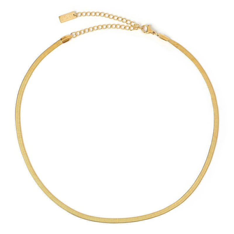 Sylvia Gold Snake Chain Necklace - Sare StoreArms Of EveNecklace